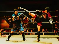 Fighters in the Ring image