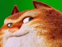 The Amazing Maurice Card Match image